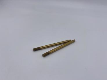 SWORKz 1/10 PRO Stoßdämpfer Kolbenstange hinten 48,2mm (2)